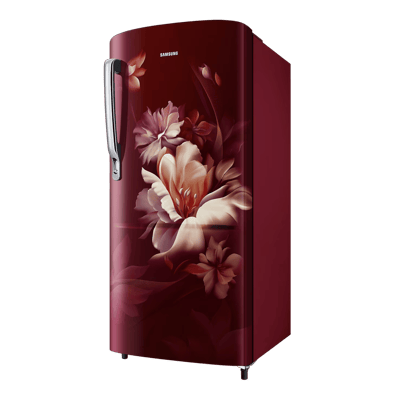 Samsung 183 L Direct Cool Single Door 5 Star Refrigerator, RR20D2725RZ/NL ( Mignight Blossom Red ) - Image 3